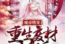 小说《魔帝嗜宠：重生废材小狂后》章节免费阅读-侠客文学