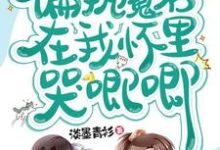 穿书，偏执魔君在我怀里哭唧唧小说，穿书，偏执魔君在我怀里哭唧唧在线阅读-侠客文学