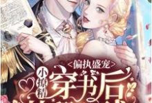 《偏执盛宠：小撩精穿书后苏翻全球》小说主角沐遥陆辰渊洛盈烟章节章节免费在线阅读-侠客文学