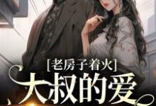 主角叫秦舒意宋崇州的小说在哪阅读-侠客文学