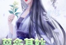 轩辕琼华君墨宸君墨安轩辕如卫为主角的小说好看吗?免费读莫名其妙世子妃-侠客文学