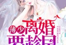 免费看薄少，离婚要趁早小说的网站有哪些？-侠客文学