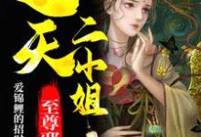 至尊邪凤：逆天二小姐小说，至尊邪凤：逆天二小姐免费阅读-侠客文学