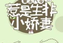 已完结小说《重生六零：惹是生非小娇妻》章节免费阅读-侠客文学