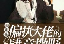 《被迫在偏执大佬的心上肆意撒野》全集免费在线阅读（苏冉孤沛烈）-侠客文学