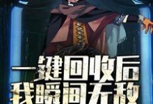 一键回收后，我瞬间无敌小说有没有完结版在线？-侠客文学