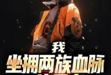 我,坐拥两族血脉,一统忍者!宇智波千手,我,坐拥两族血脉,一统忍者!最新章节-侠客文学