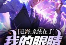 赶海：系统在手，我的眼睛就是尺小说无弹窗阅读的网站推荐-侠客文学