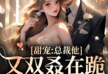 简薇霍北凛为主角的小说叫什么？免费看甜宠：总裁他又双叒在跪搓衣板了-侠客文学