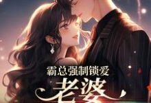 霸总强制锁爱：老婆，连生三胎嘛（唐安许其琛）在线免费阅读-侠客文学