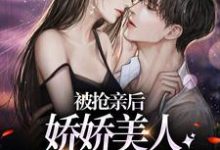 被抢亲后,娇娇美人嫁大杂院躺赢小说,被抢亲后,娇娇美人嫁大杂院躺赢章节在线阅读-侠客文学