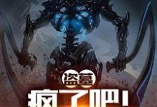 完结版《盗墓：疯了吧！你管这叫下墓？》在线免费阅读-侠客文学
