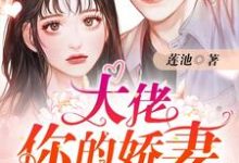 大佬你的娇妻已重生小说有没有完结版在线？-侠客文学