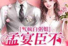 免费在线阅读气疯白粥姐，孟宴臣不当舔狗了小说的正规网站有哪些？-侠客文学