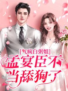 免费在线阅读气疯白粥姐，孟宴臣不当舔狗了小说的正规网站有哪些？