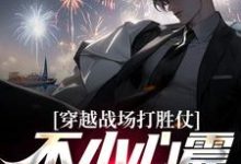 穿越战场打胜仗，不小心震惊全网了夏禹，穿越战场打胜仗，不小心震惊全网了章节在线阅读-侠客文学