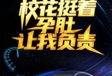 已完结小说《被分手后,校花挺着孕肚让我负责》在线章节阅读-侠客文学