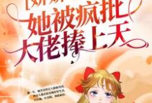 娇娇一回国,她被疯批大佬捧上天小说全文阅读需要付费吗?寻找免费资源-侠客文学