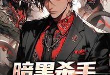 暗黑杀手他响彻全球这本小说在哪里可以看？哪里有免费试读章节？-侠客文学