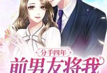 分手四年，前男友将我堵在墙角沈郁季眠，分手四年，前男友将我堵在墙角章节在线阅读-侠客文学