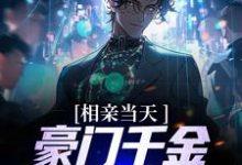 相亲当天，豪门千金拐去我领证小说，相亲当天，豪门千金拐去我领证最新章节-侠客文学