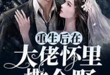 免费阅读沈辞墨尘渊为主角的小说，重生后在大佬怀里撒个野在线看-侠客文学