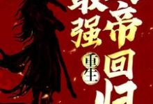 重生:最强天帝回归叶凡叶枫林暮雪,重生:最强天帝回归最新章节-侠客文学