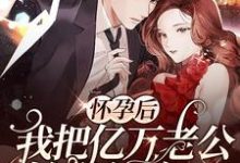 小说《怀孕后，我把亿万老公始乱终弃了》章节阅读-侠客文学