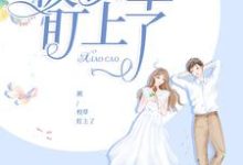 寻找被校草盯上了小说的最新更新章节-侠客文学