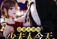 已完结小说《追妻火葬场：少夫人今天又硬气了》在线章节阅读-侠客文学