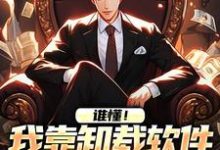 《谁懂！我靠卸载软件赚了100万》小说章节列表免费试读，林诚小说在线阅读-侠客文学