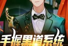 小说《手握黑道系统，我高调发育》在线章节阅读-侠客文学