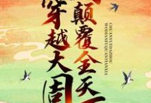 苏晨慕巧巧为主角的小说叫什么？免费看穿越大周，我颠覆全天下-侠客文学