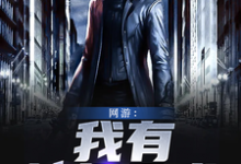 网游：我有神级合成小说，网游：我有神级合成免费阅读-侠客文学