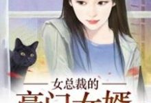 小说《女总裁的豪门女婿》在线章节阅读-侠客文学