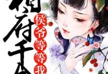 相府千金，侯爷等等我小说，相府千金，侯爷等等我在线阅读-侠客文学