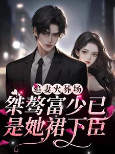 追妻火葬场：桀骜富少已是她裙下臣小说，追妻火葬场：桀骜富少已是她裙下臣最新章节