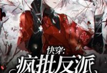 小说《快穿：疯批反派他又被撩了》章节免费阅读-侠客文学