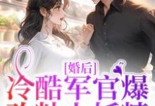 《婚后，冷酷军官爆改粘人妖精》小说章节列表免费试读，叶青沈烈小说在线阅读-侠客文学