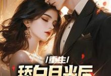 重生：舔白月光后，我的青梅黑化了主角林泽沐楚洛璃小说完结版章节在线阅读-侠客文学