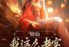 完结版《修仙：我这么老实，咋可能是海王！》章节阅读-侠客文学