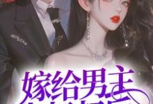 裴宴洲金多多的故事在哪本书里?免费阅读嫁给男主小叔叔后,躺赢了-侠客文学