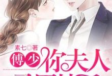 傅辰池暖为主角的小说好看吗？求傅少，你夫人马甲掉了免费试读-侠客文学