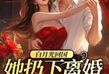 《白月光回国,她扔下离婚协议离开》小说主角 黎辛天谢斯南章节章节免费在线阅读-侠客文学