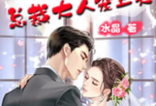 盛夏君墨琛小说在哪里可以看-侠客文学