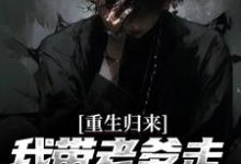 云辉云哲小说在哪里可以看-侠客文学