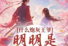 小说《什么炮灰王爷，明明是移动金库》在线章节阅读-侠客文学