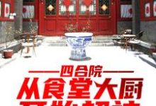 何雨柱娄晓娥小说在线章节免费阅读（四合院：从食堂大厨开始超神无弹窗无删减）-侠客文学