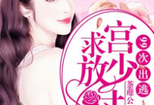 99次出逃：宫少求放过（骆惟一宫尧宫骁）在线免费阅读-侠客文学