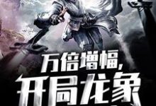 万倍增幅，开局龙象镇狱劲免费阅读，万倍增幅，开局龙象镇狱劲章节在线阅读-侠客文学